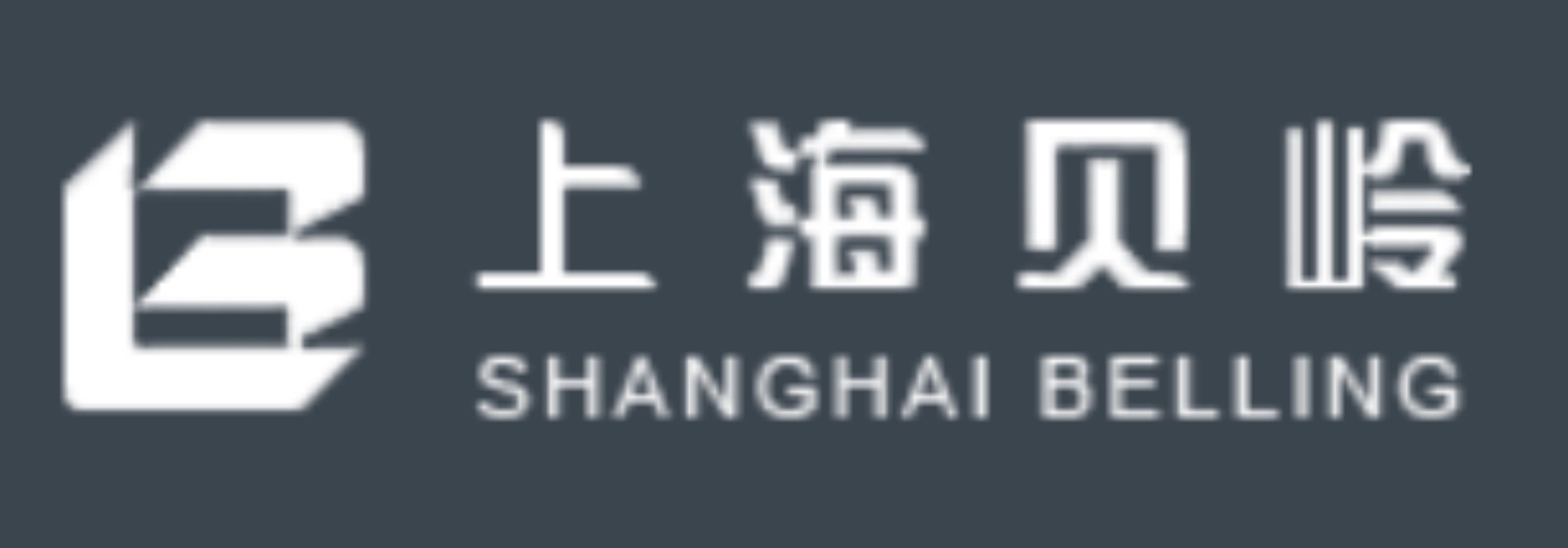 上海貝嶺